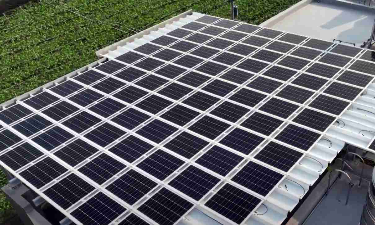 EBpaySunSteel光电浪板升级双玻结构，，，以提升机械负载强度及气候耐候度，，可广泛运用于多元场域